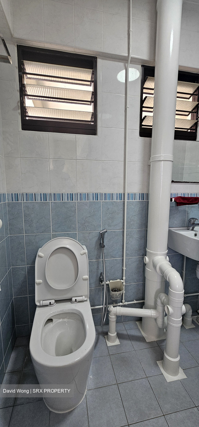 Blk 536 Upper Cross Street (Central Area), HDB 3 Rooms #629794131